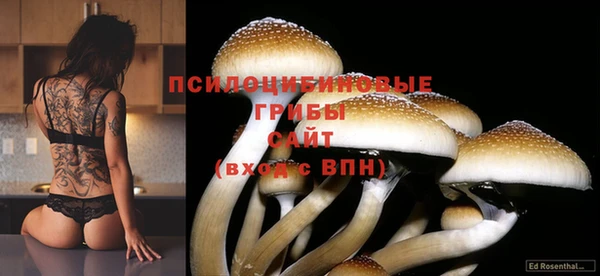 альфа пвп Вязьма