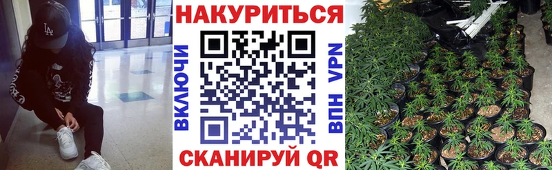 Купить  Нюрба  Марихуана планчик 